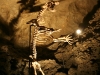 Scheletro rinvenuto all\'interno della Grotta del Vento a Vergemoli